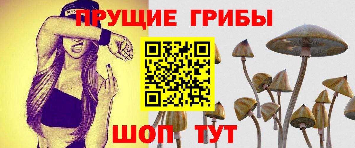 Губкин  Галлюциногенные грибы ЛСД  Вход с VPN 
